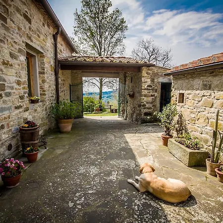 Podere Il Palagio *